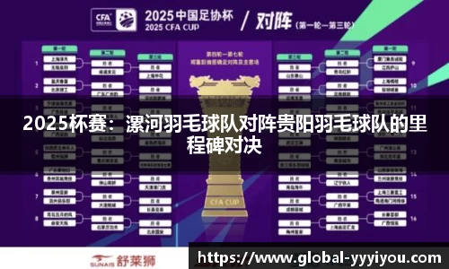2025杯赛：漯河羽毛球队对阵贵阳羽毛球队的里程碑对决